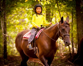 horse 585
