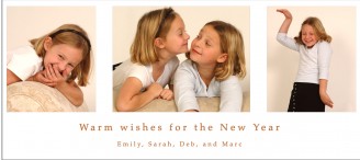 lehman 12110 holiday card