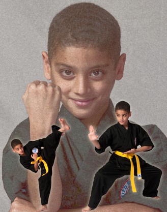 martial arts 650