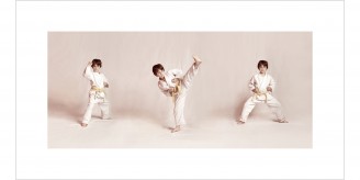 martial arts 651