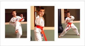 martial arts 660